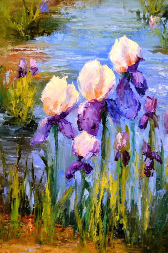 Pond with Beautiful Irises