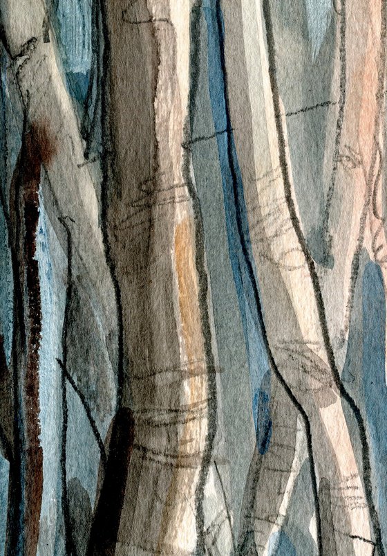 WINTER BIRCHES