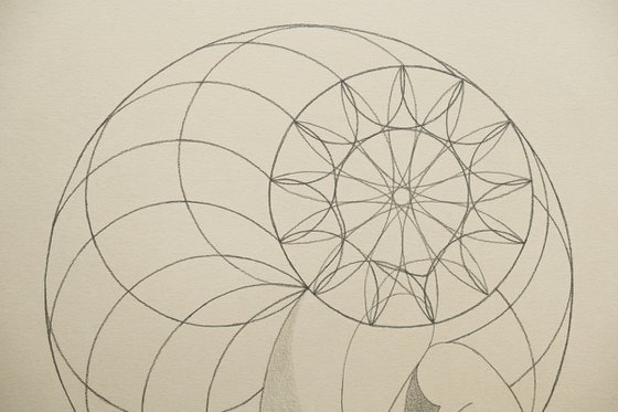 Graphic 21