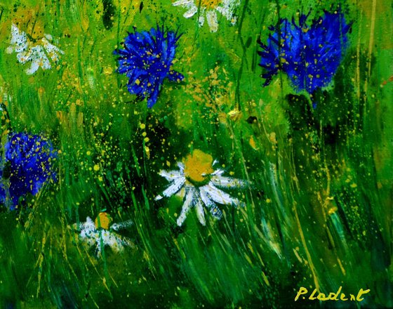 Cornflowers and daisies