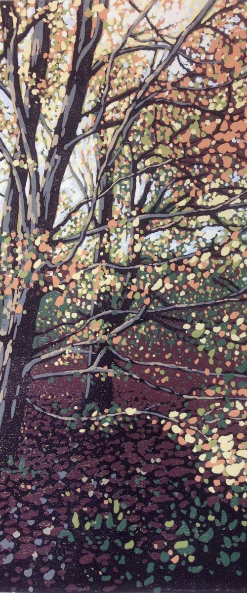 Autumn Beeches by Alexandra Buckle