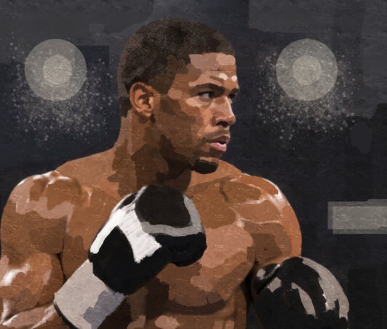 THE BOXER 2638