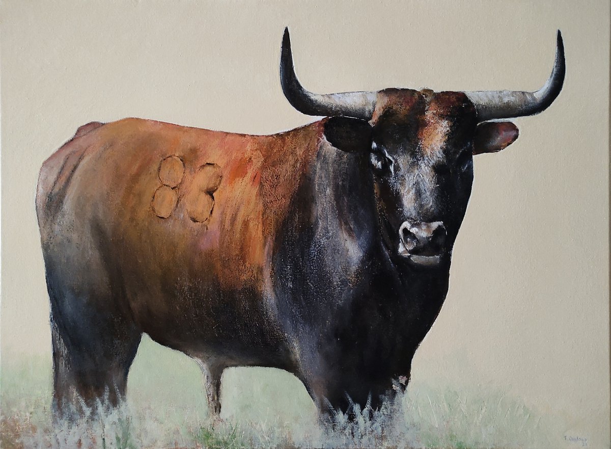 Brave bull by TOMAS CASTAAO