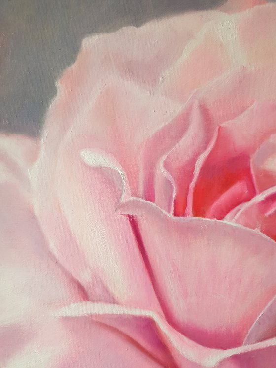 "Sounds of tenderness."  rose flower  liGHt original painting  GIFT (2021)