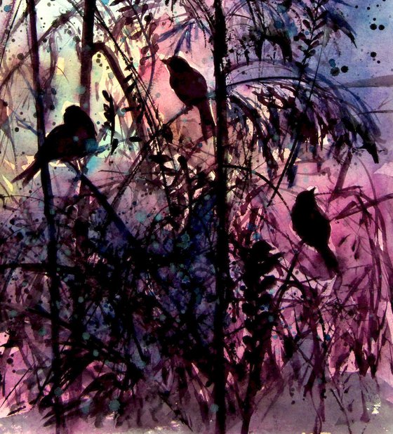 Birds at night