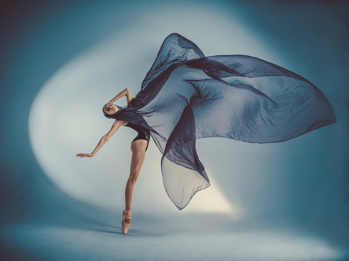 Photorealistic Portrait Photograph By Dan Hecho, 35 X 24, Ballet Flower, Original Artwork