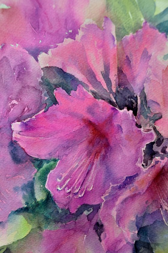 RHODODENDRON. DREAM GARDEN original watercolor 30X40