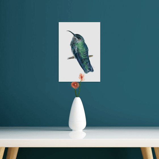 Ruby-throated Hummingbird - Bird Portrait