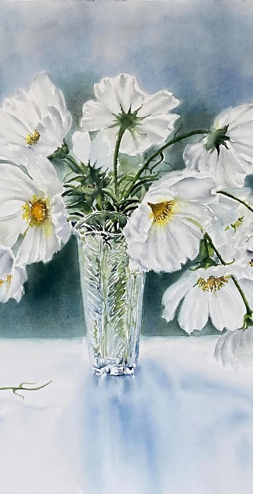 White cosmos by Natalia Butenko