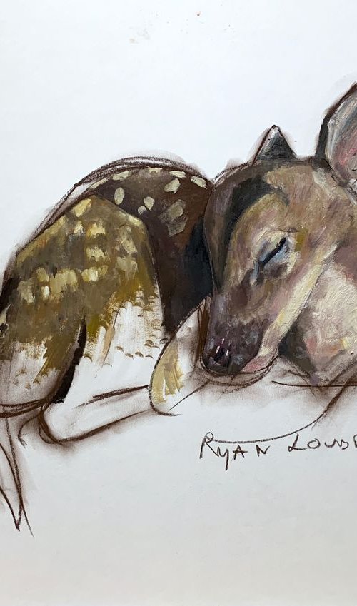 Bambi by Ryan  Louder