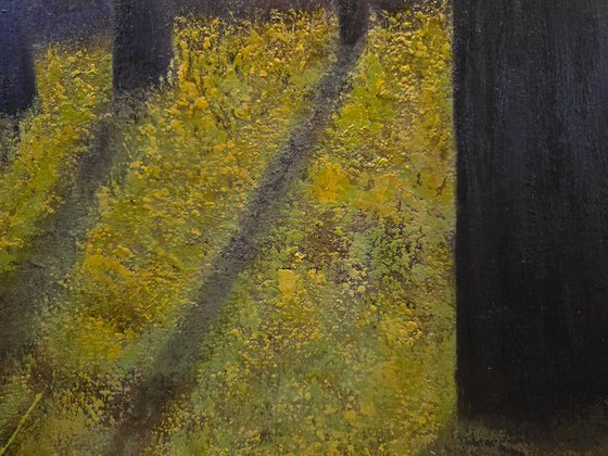 Light Within the Quiet