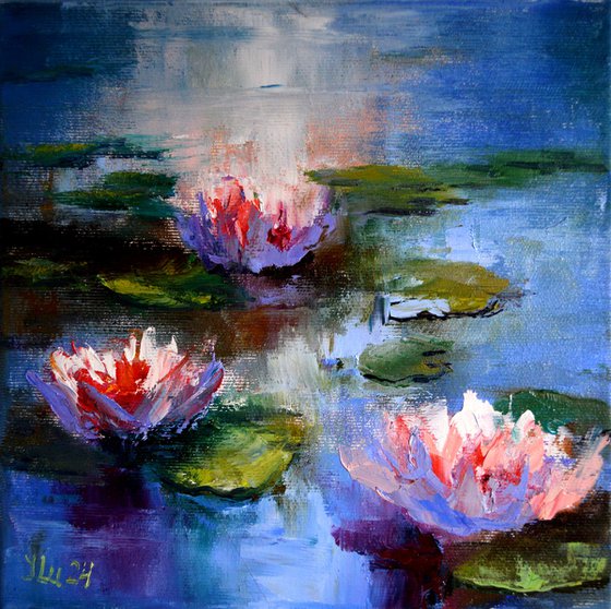 Sunny water lilies