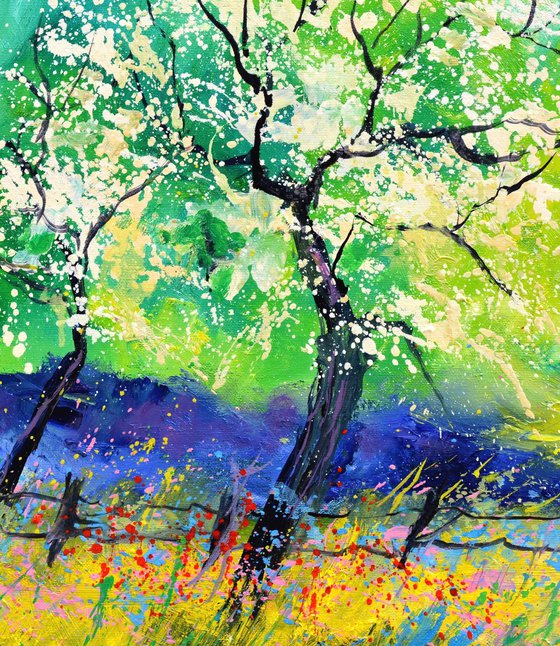 Appletree in blossom