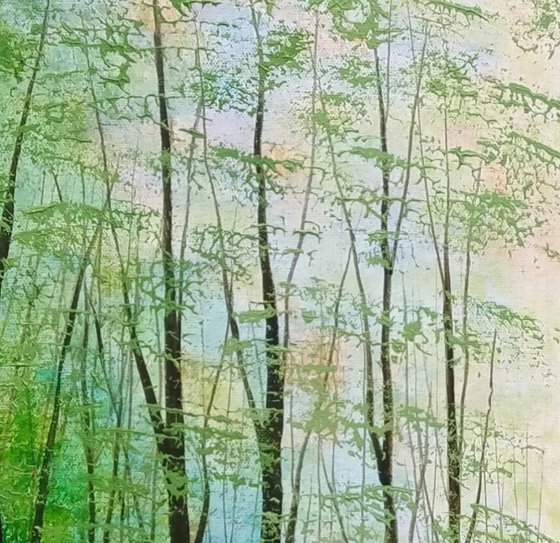 Sylvan Blue, Wildflower Wood