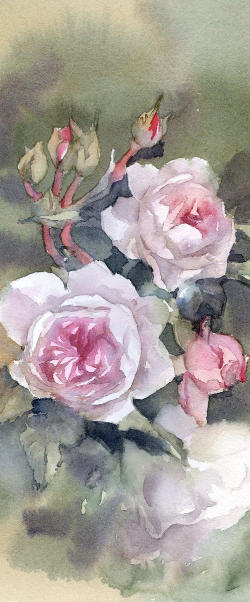 Pink roses on green, Rose garden in watercolor by Yulia Evsyukova