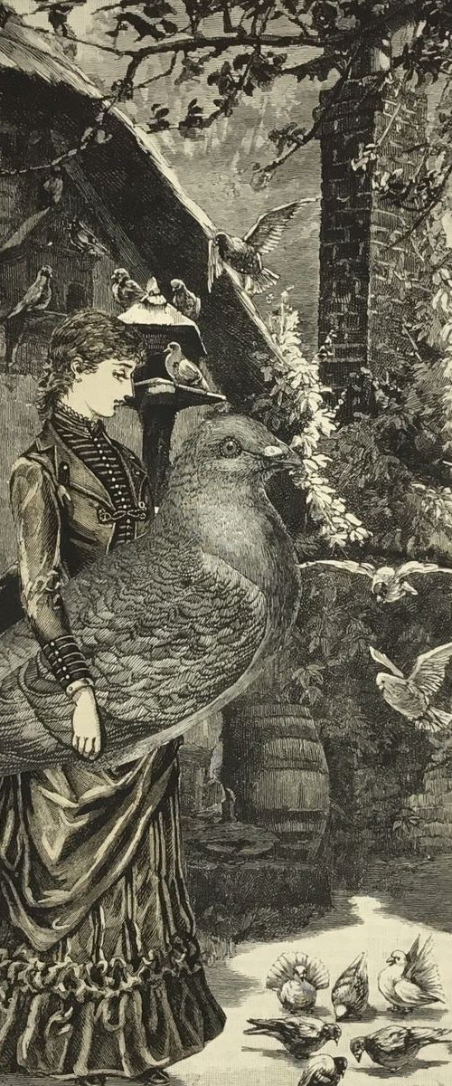 Bird Table by Tudor Evans