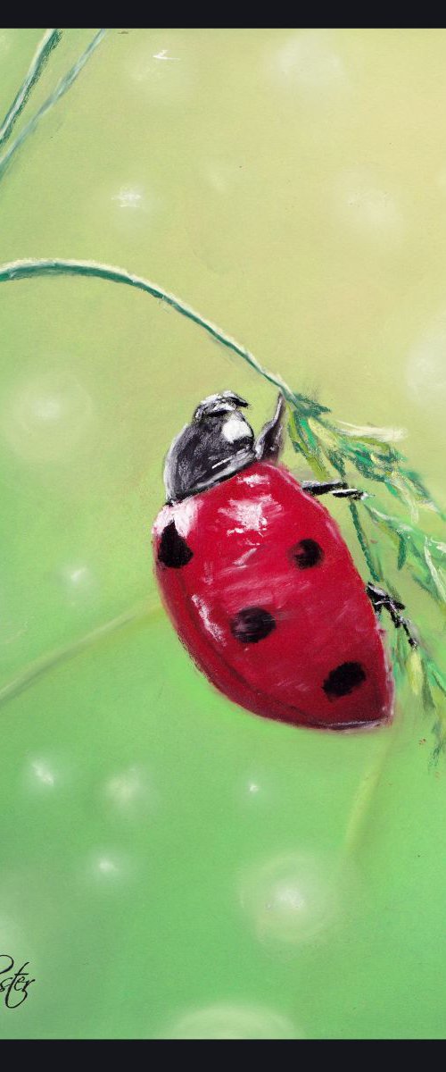 Lady Bug. by Yulia Schuster