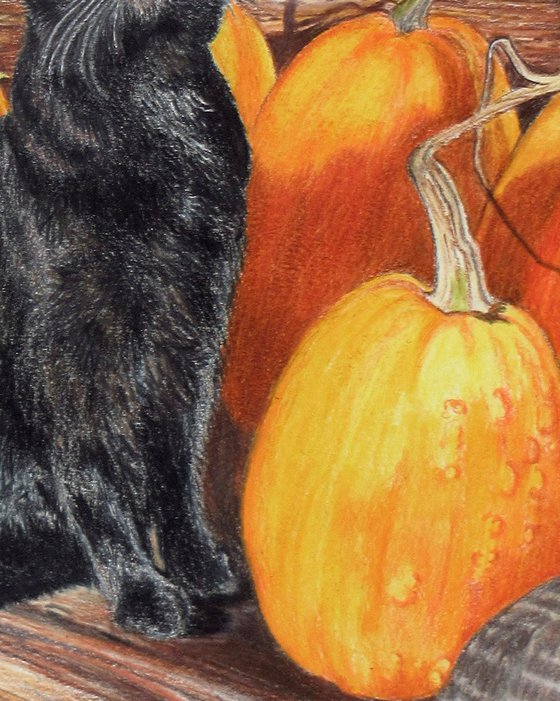 Binx's Autumn
