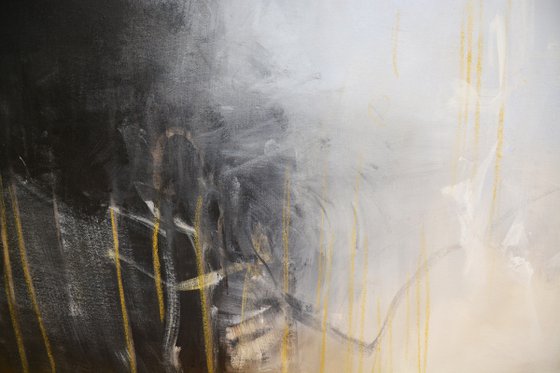 Between Shadow and Glow