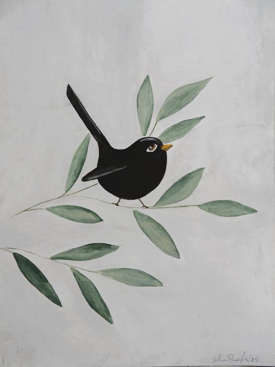 The blackbird