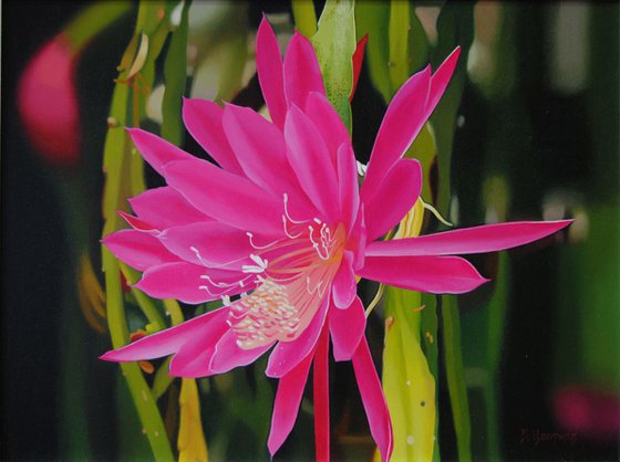 Cactus, Flower painting