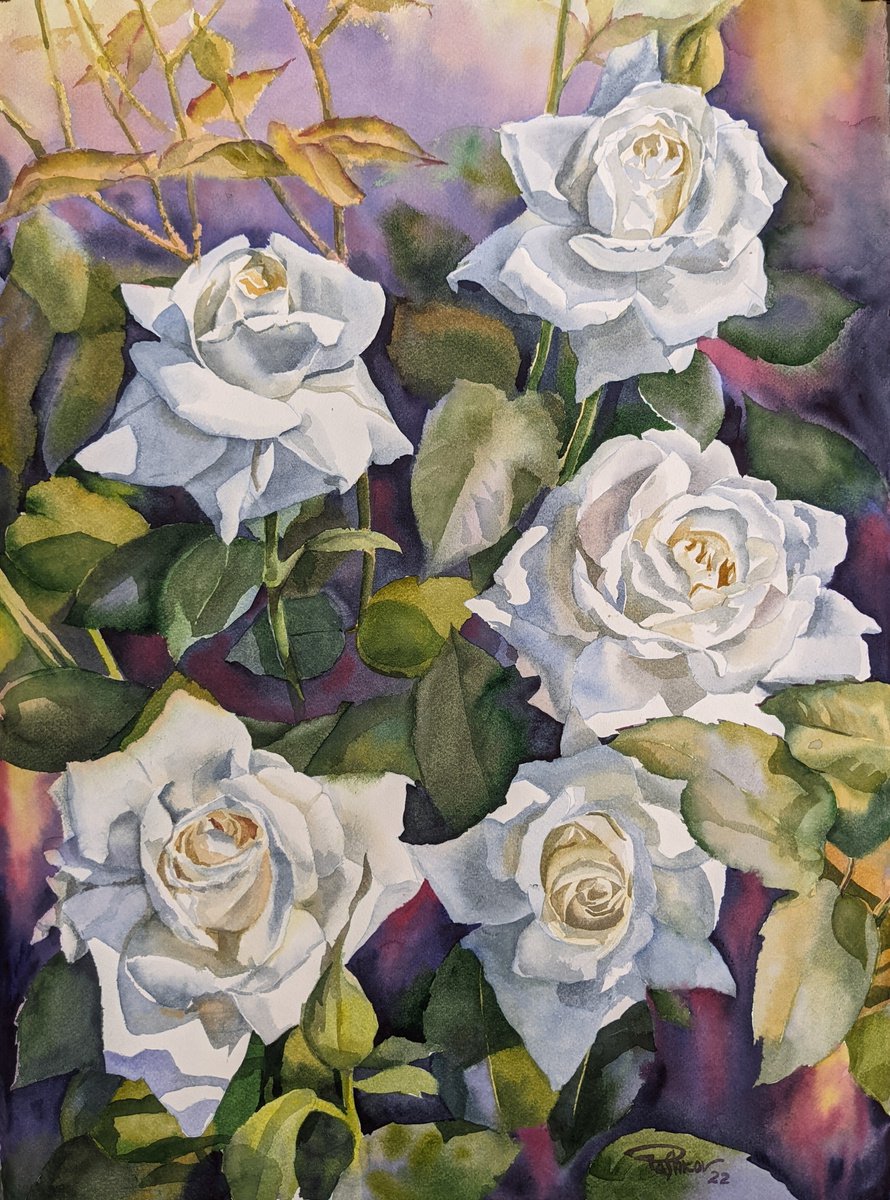 Impressionistic Botanical Watercolour By Yurii Pashkov, 22 X 30", White Roses#2, Original Artwork