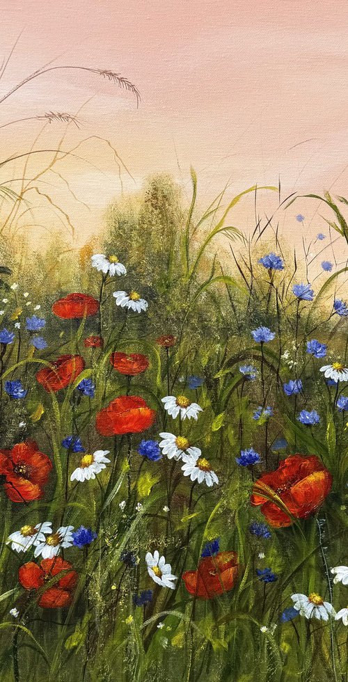 Red poppies field by Tanja Frost