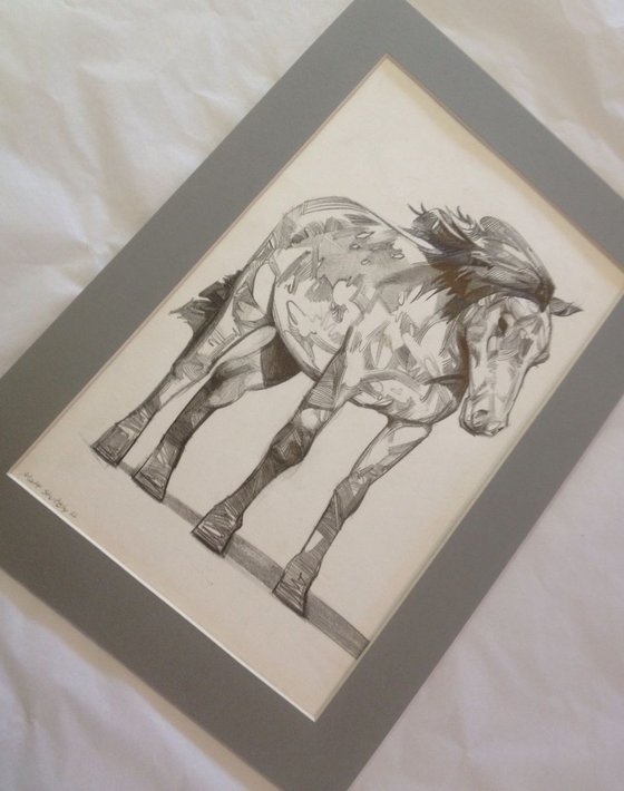 Dartmoor Pony Pencil drawing by Matthew Stutely