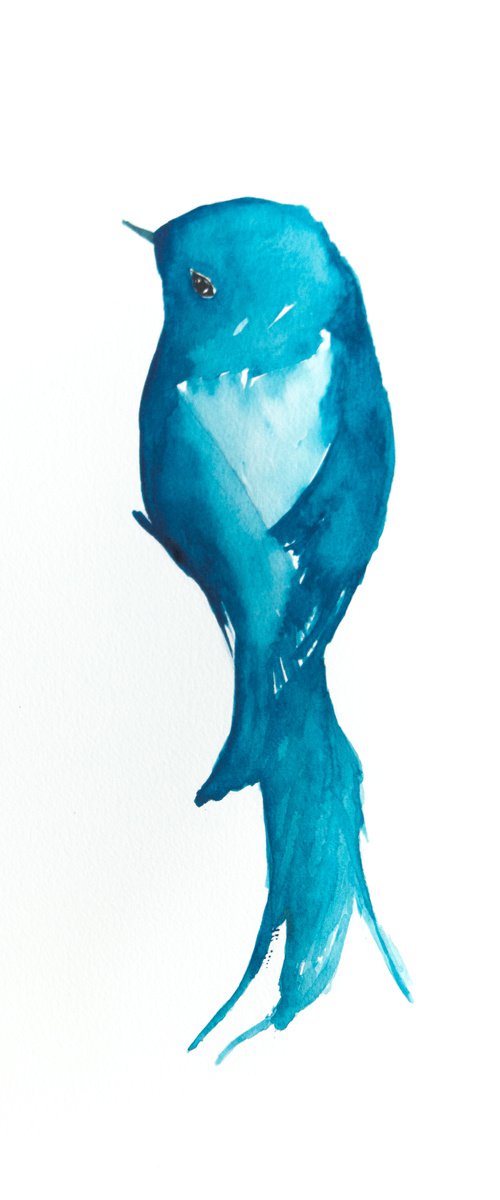 Bird by Nadia Moniatis