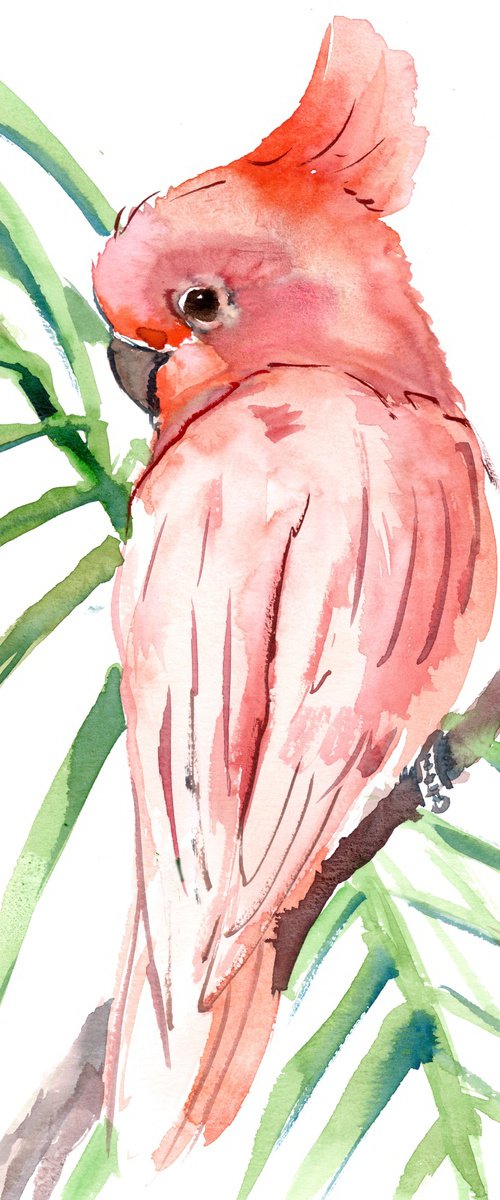 Pink Cockatoo Bird by Suren Nersisyan