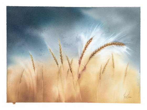 Yesterdays - Barley Field Watercolor