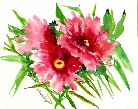 Peony Flowers