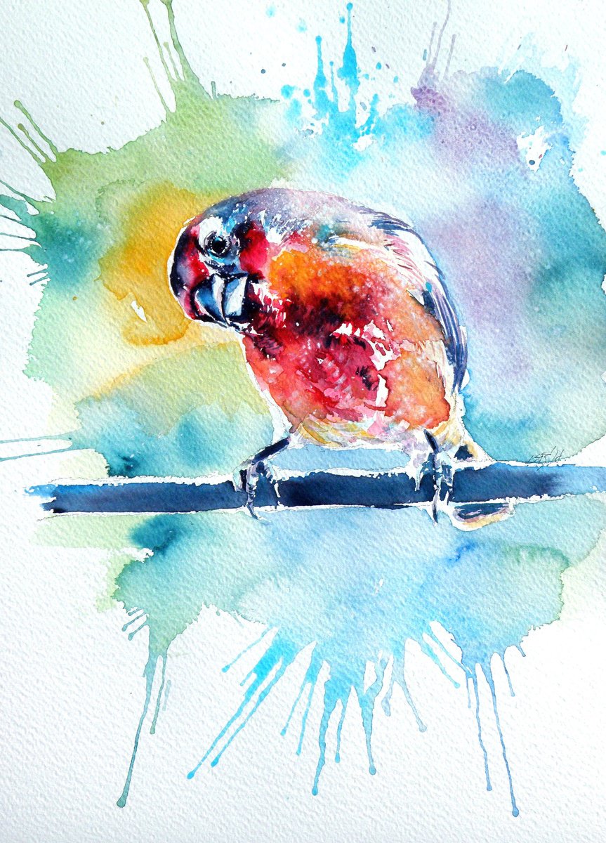 Impressionistic Animal Watercolour By Kovacs Anna Brigitta, 10 X 15", Cute Bird, Original Artwork