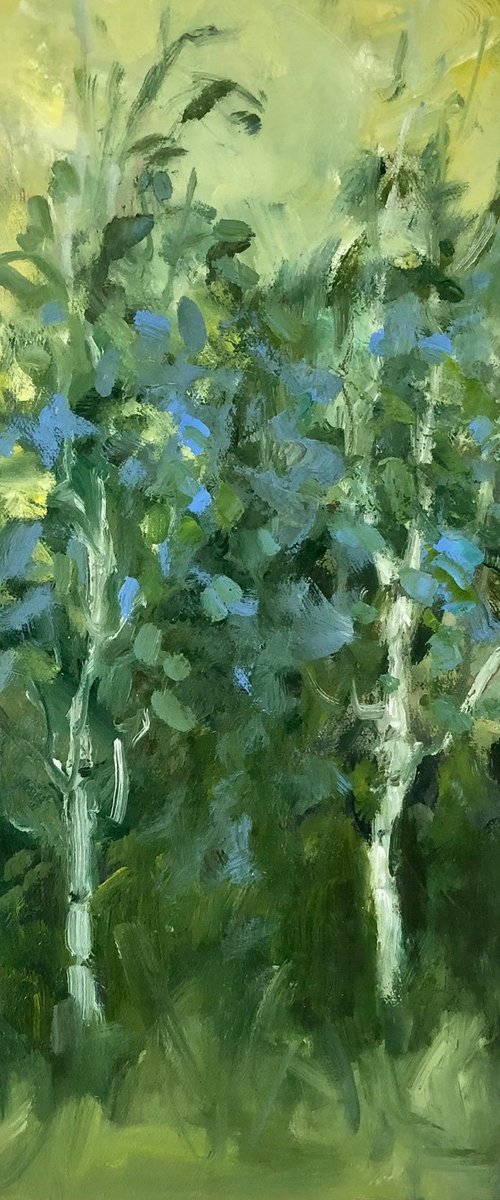 Birches in late sun by Joanna Farrow