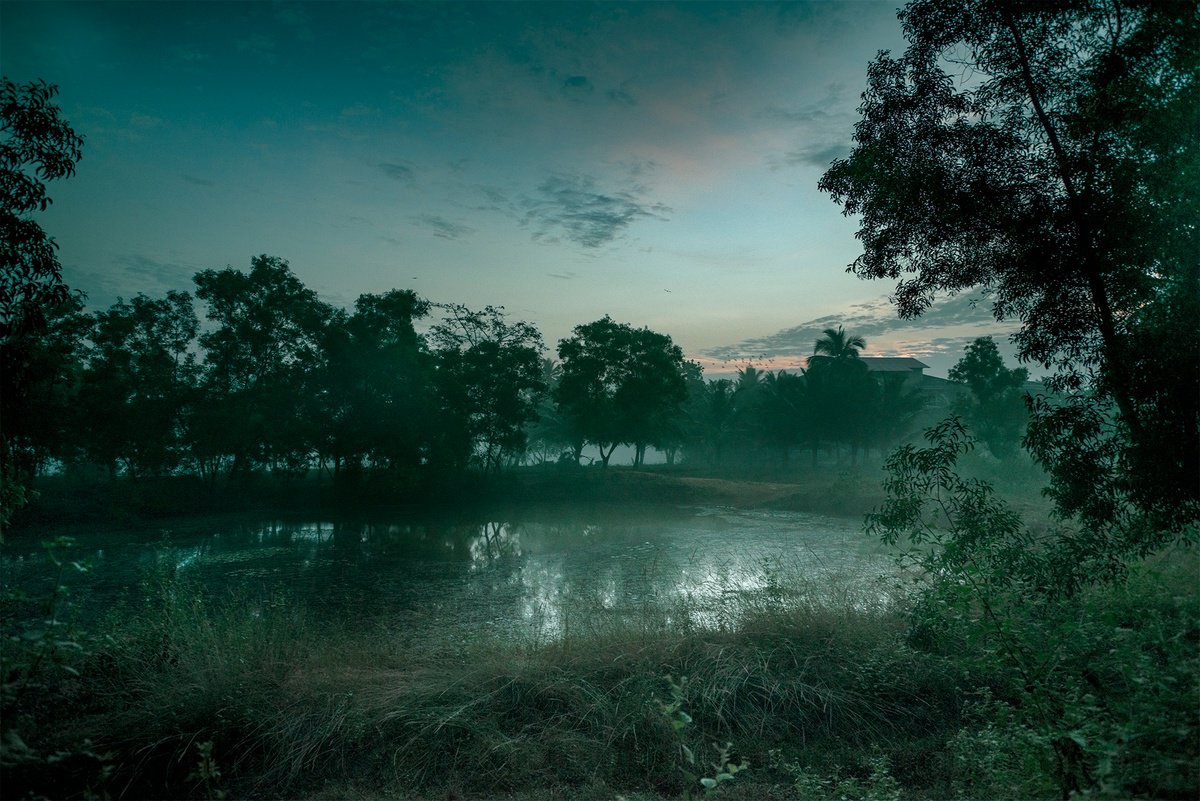 Watering Hole by Adam Regan