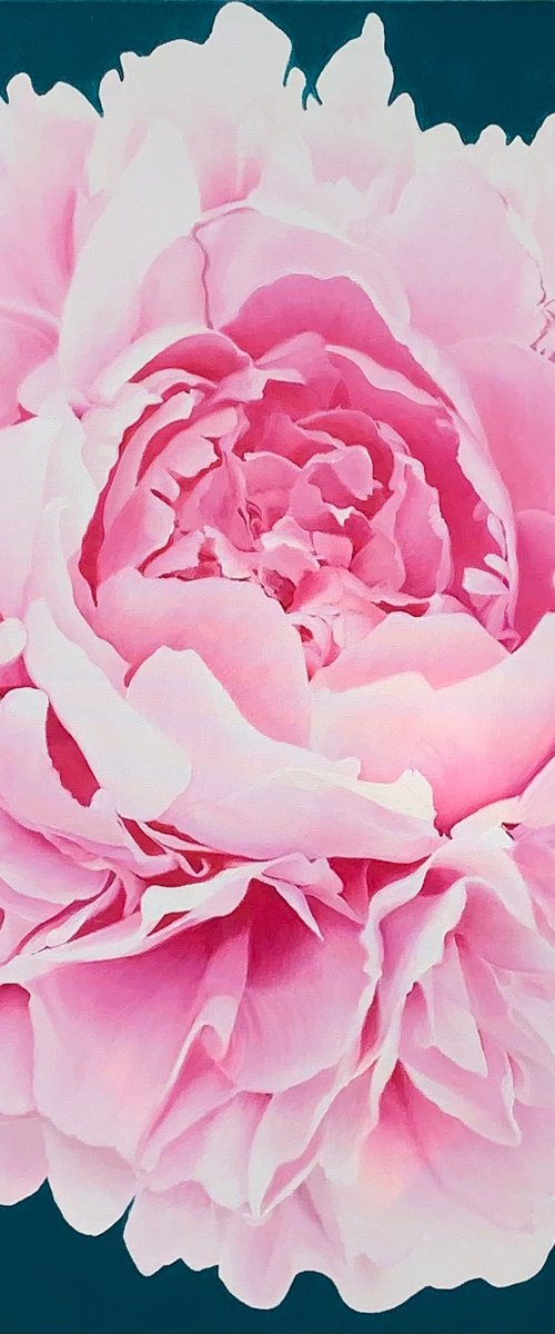 Concordia. Peony Painting by Alla Kallass