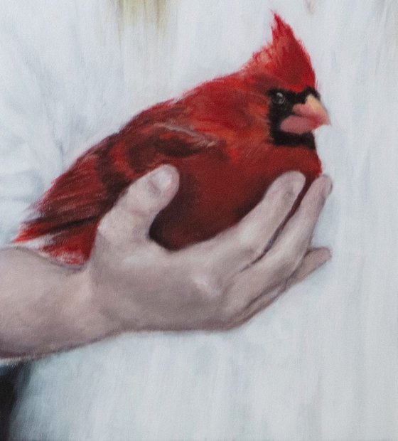 Il cardinale rosso / Red bird