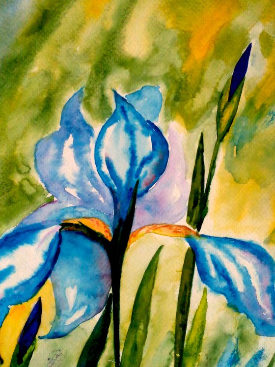 Iris original watercolor painting