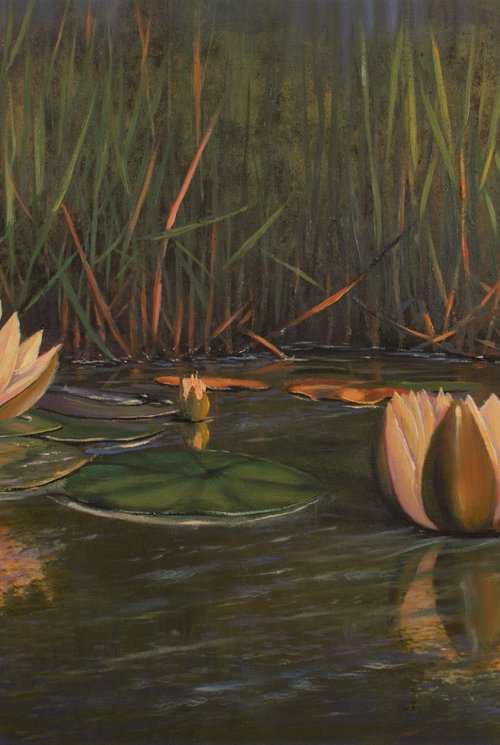 Water Lillies by Vladimir Jarmolo