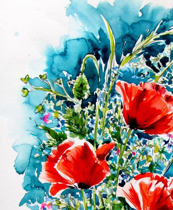 Red poppies collection