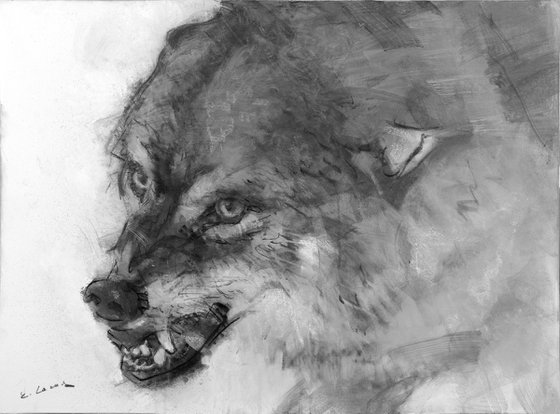 "Wolf"