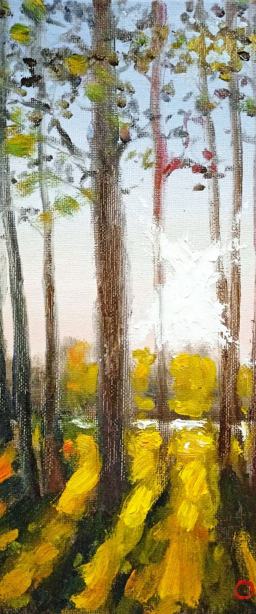 Impression. Autumn morning by Oleh Rak