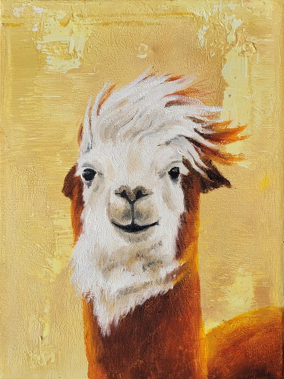 Funny llama