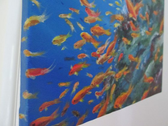 Fishes at a Sea Reef