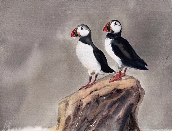 Puffins