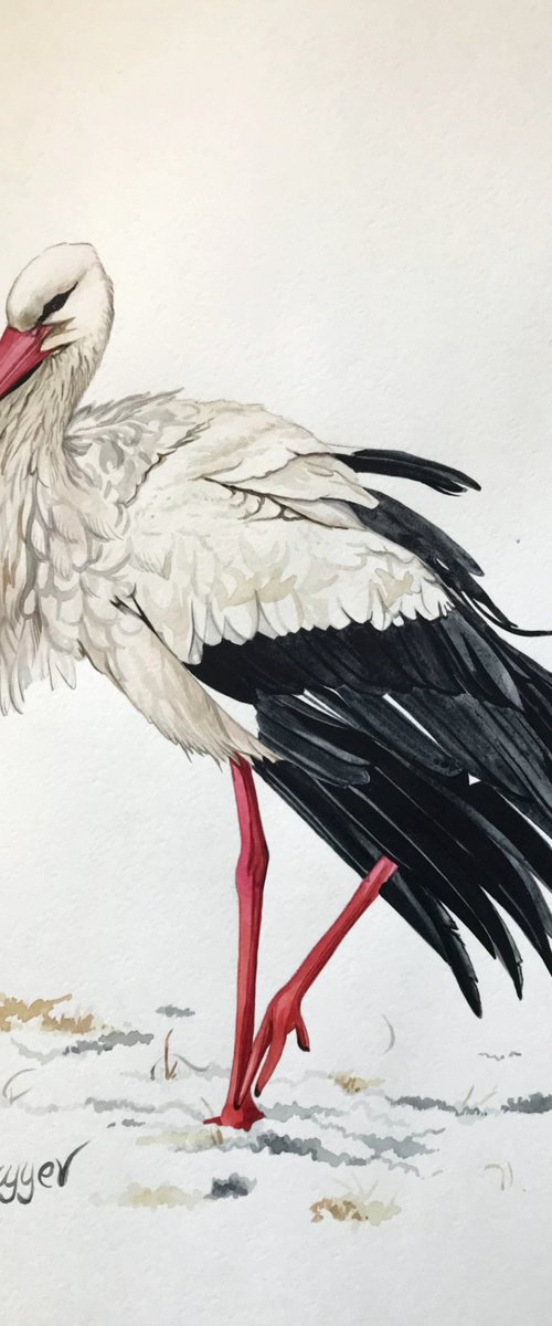 Stork from the collection "Watercolor birds by Kakajan Charyyev