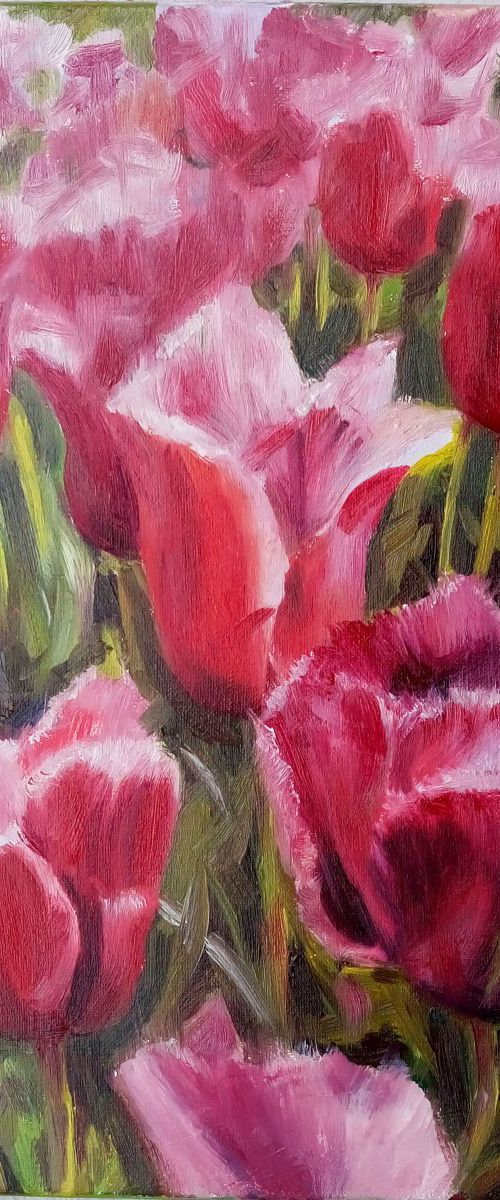 Tulips.  --- (Floral gift idea, bright spring home decor, oil original painting square canvas 40x40cm) by Mag Verkhovets