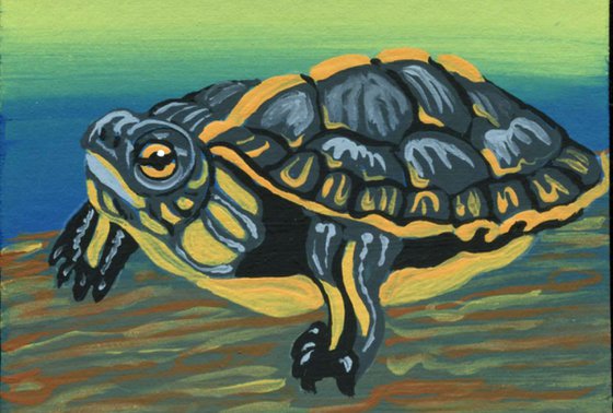 ACEO ATC Original Miniature Painting Painted Turtle Wildlife Art-Carla Smale