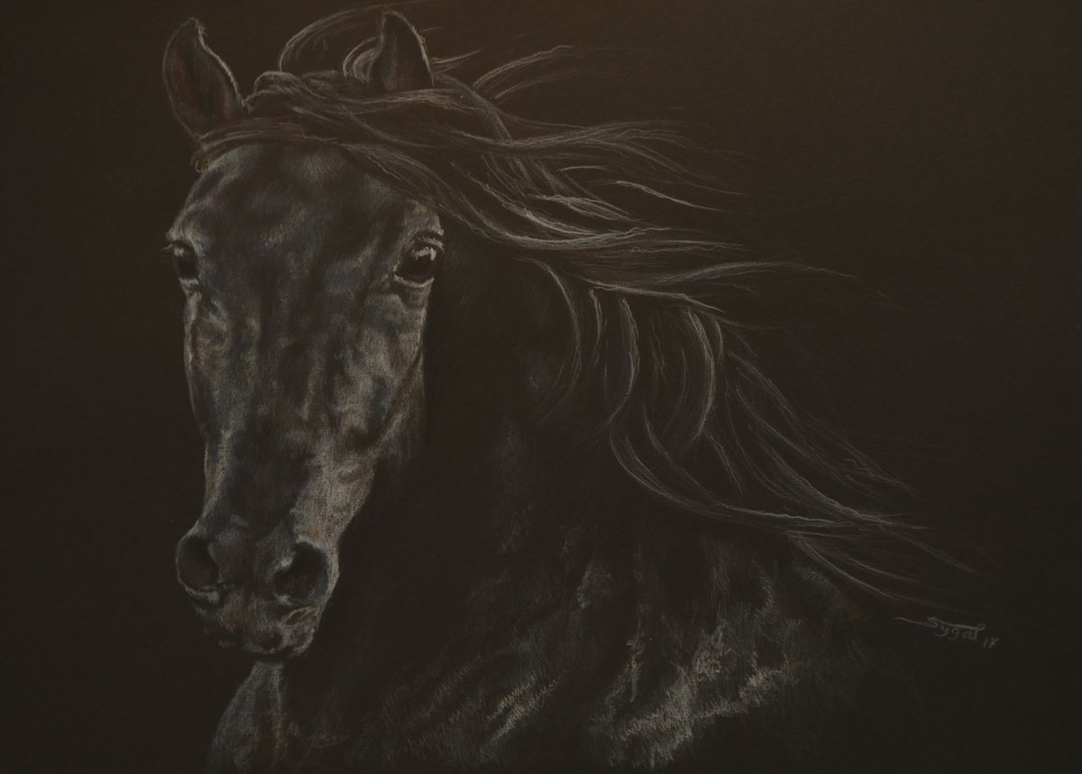 Black on Black by Sygal Amitay