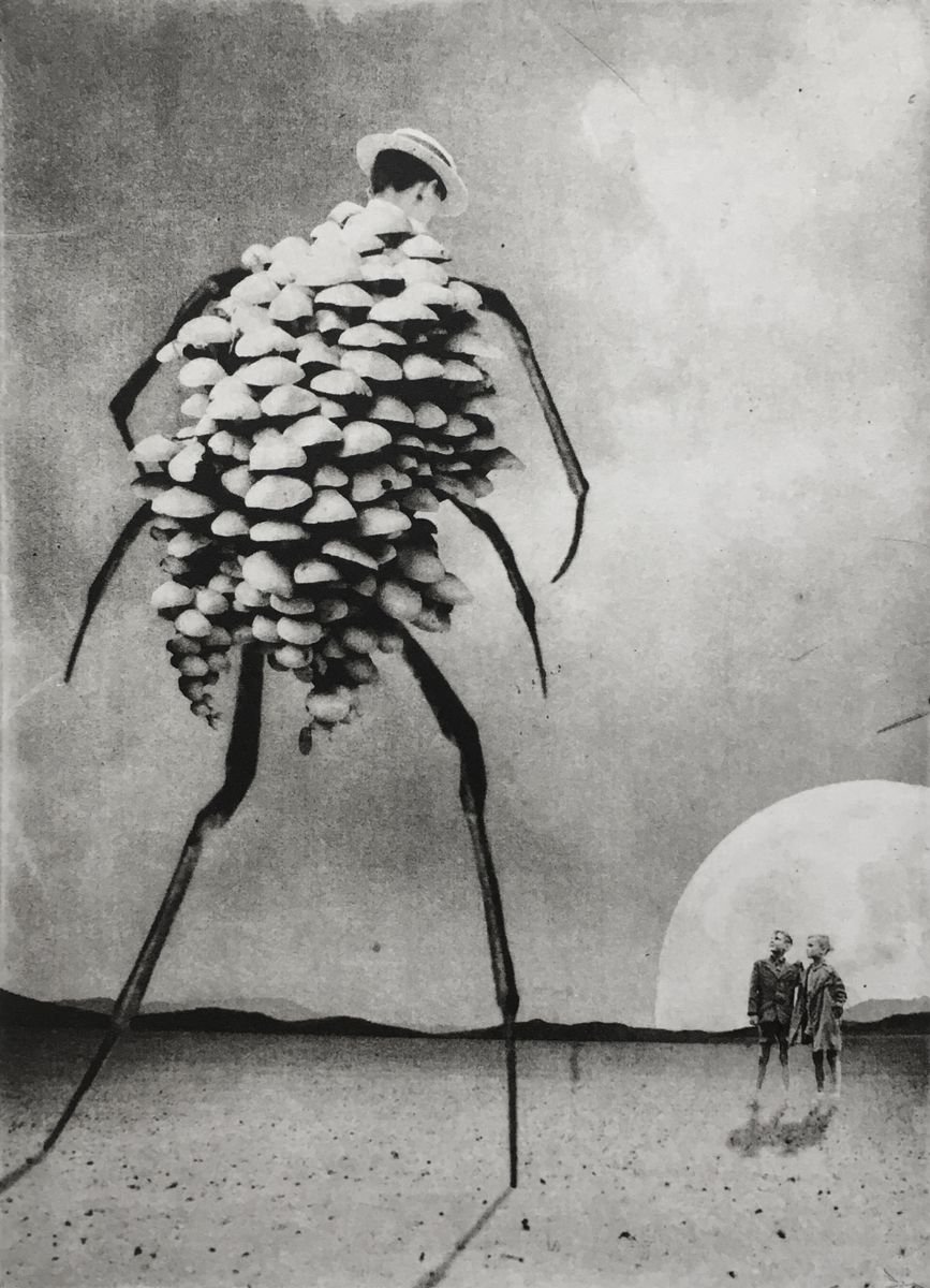 Surrealistic Portrait Etchings & Engravings By Jaco Putker, 8 X 11, The Boy And The Hat, Original Artwork